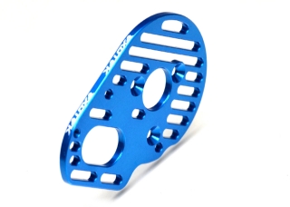 Picture of DR10 Motor Plate, Slotted Lightweight