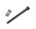 Picture of Team Associated Motor Clamp Spring & Screw (TC3)
