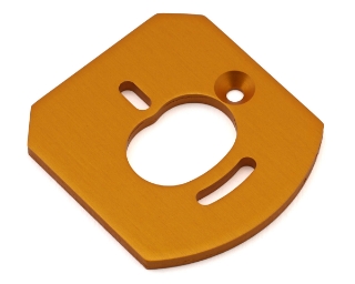 Picture of Team Associated RC10 6x6 Aluminum Motor Mount Plate (Gold)