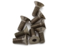 Picture of Mugen Seiki SJG Titanium Flat Head Screw Set (4x10mm)