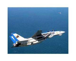 Picture of Tamiya 1/48 Grumman F-14D Tomcat